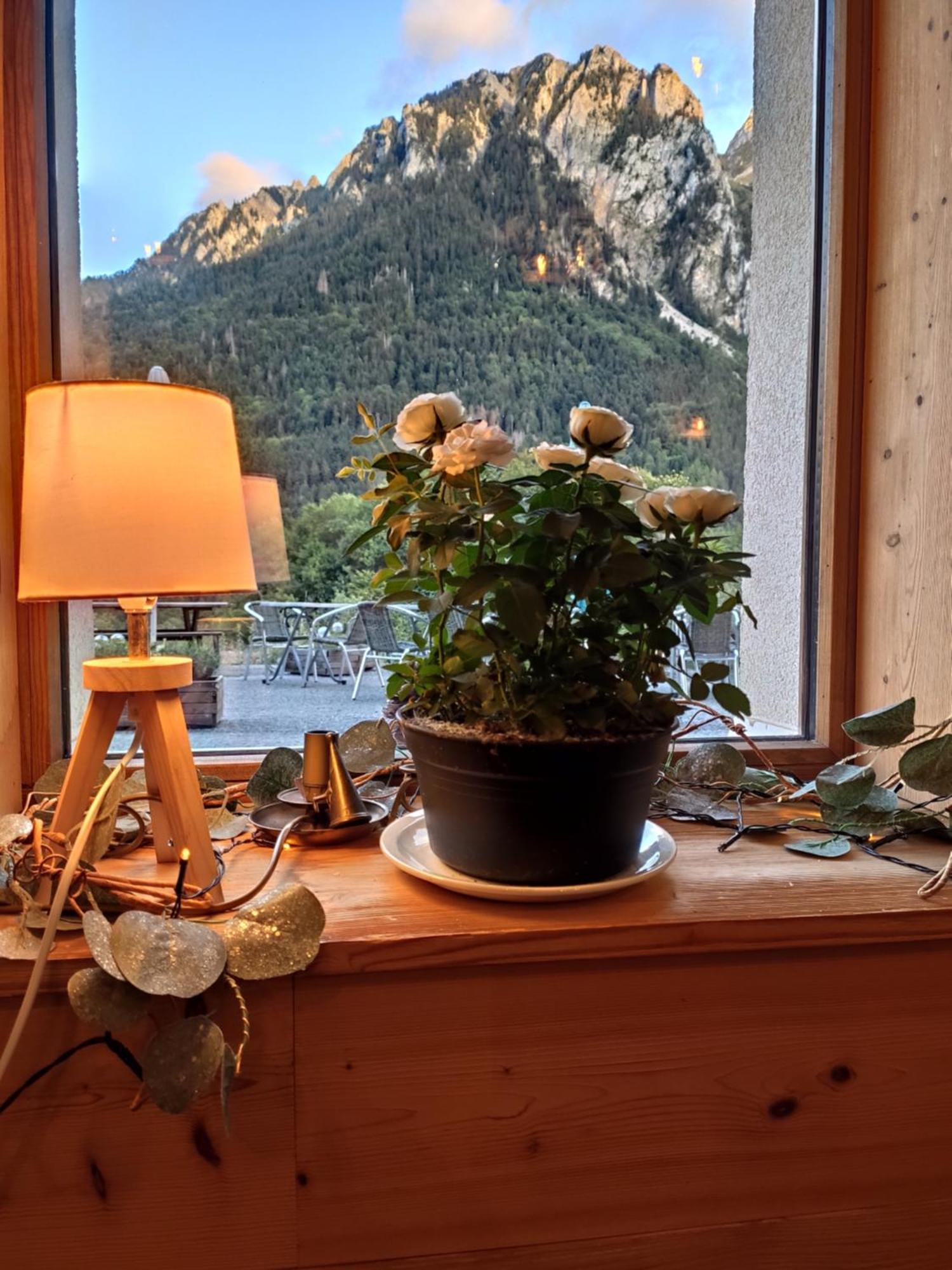 Les Chemins Du Leman Hotel Novel ภายนอก รูปภาพ