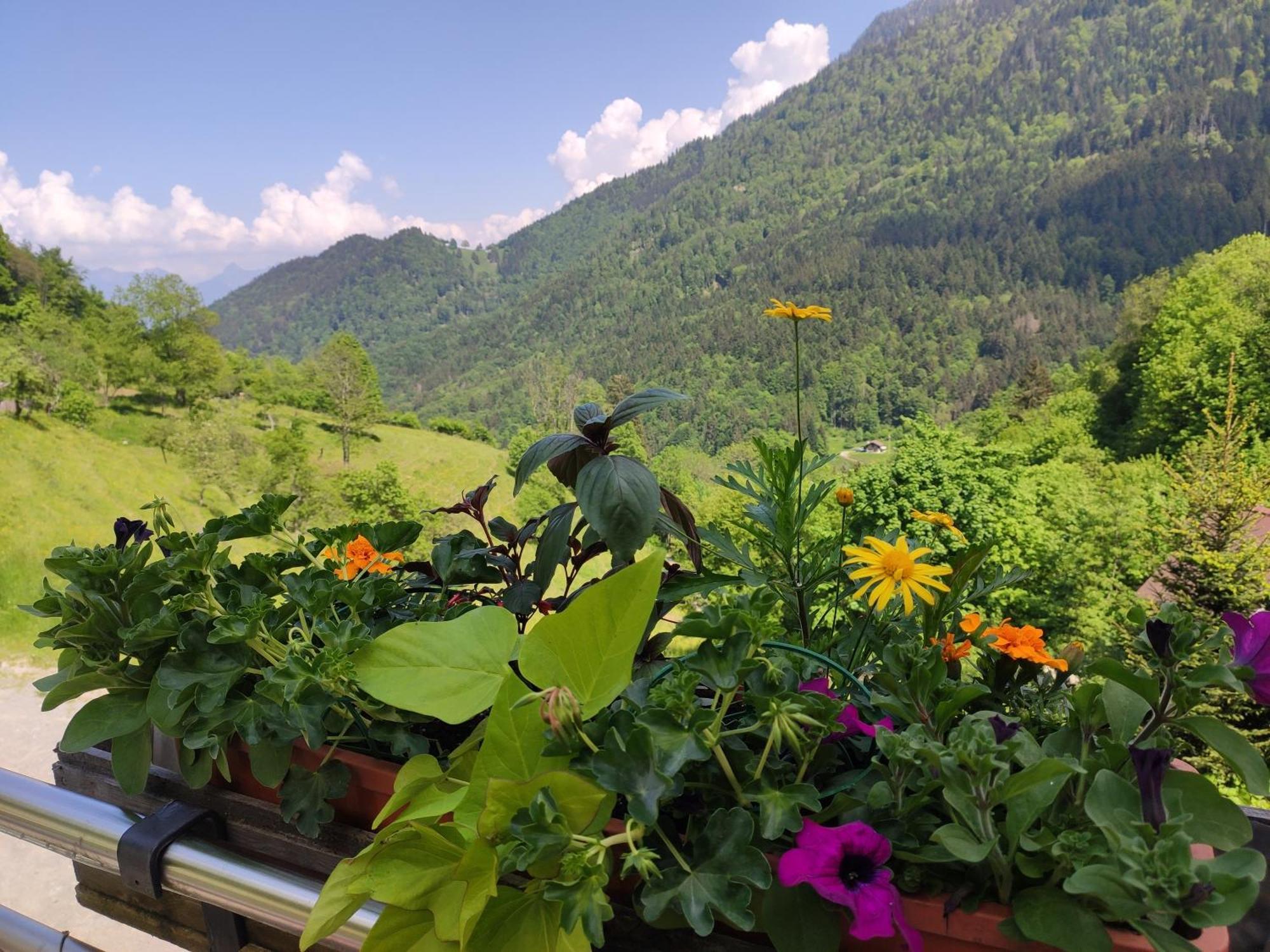 Les Chemins Du Leman Hotel Novel ภายนอก รูปภาพ